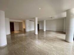 The Colonnade (D10), Condominium #469865221